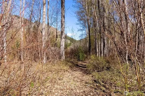 74 W Buttermilk Creek Road Twisp WA 98856