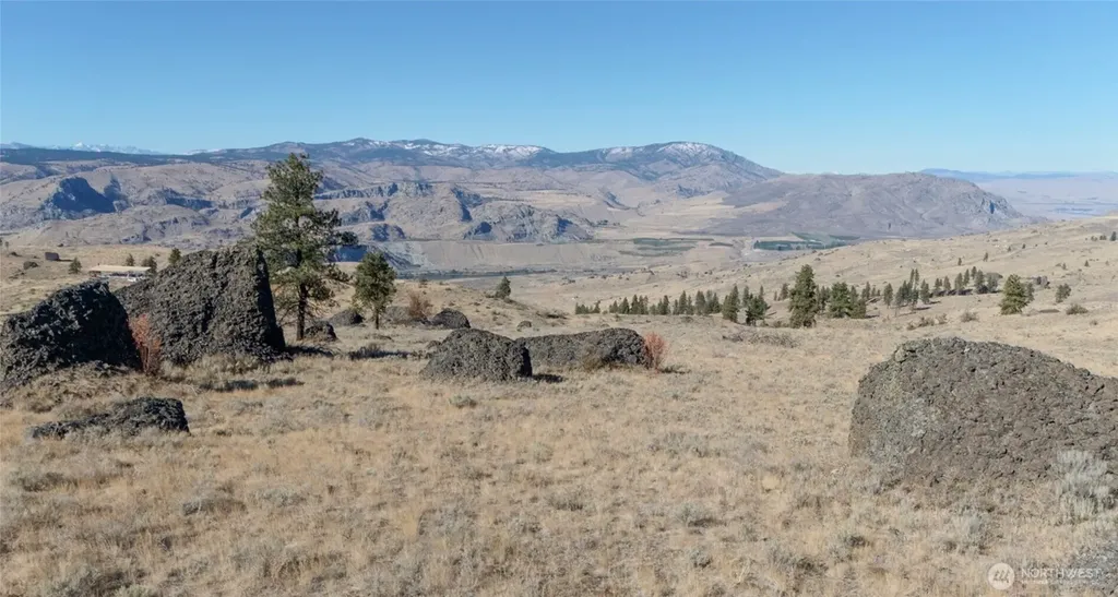 54 Wolf Holler Road Waterville WA 98858