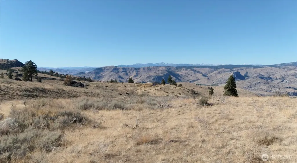 54 Wolf Holler Road Waterville WA 98858