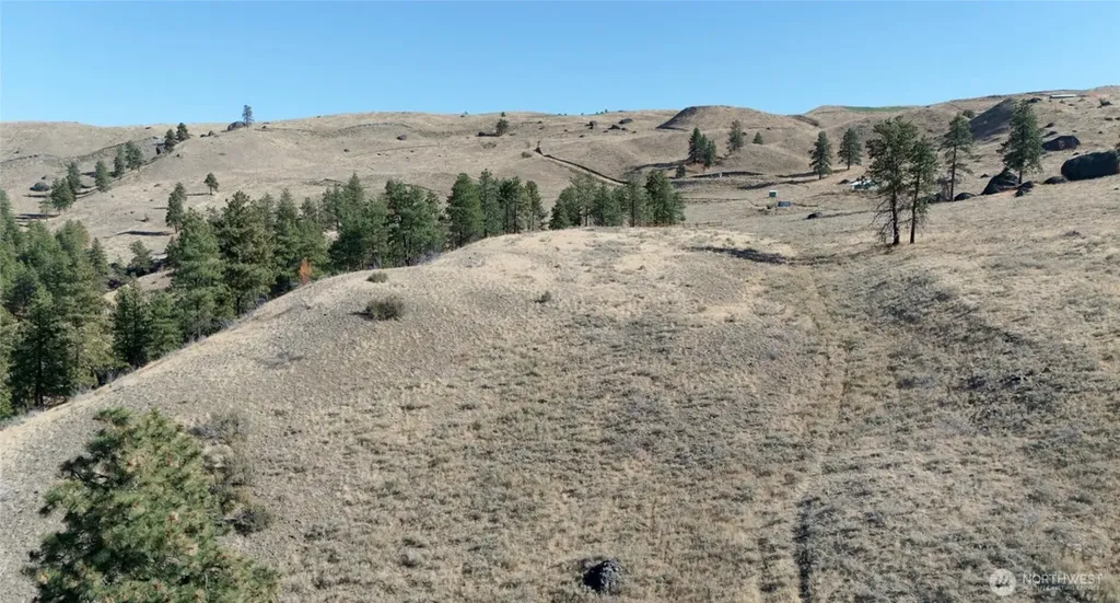 54 Wolf Holler Road Waterville WA 98858
