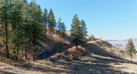 54 Wolf Holler Road Waterville WA 98858