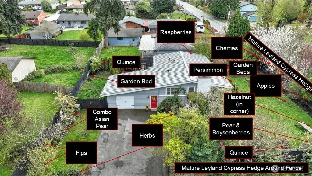11204 148th Avenue SE Renton WA 98059
