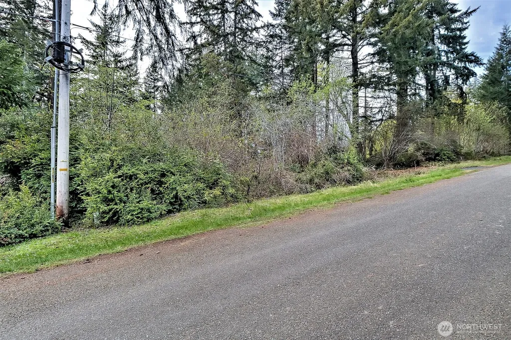 101 E Peale Drive Shelton WA 98584