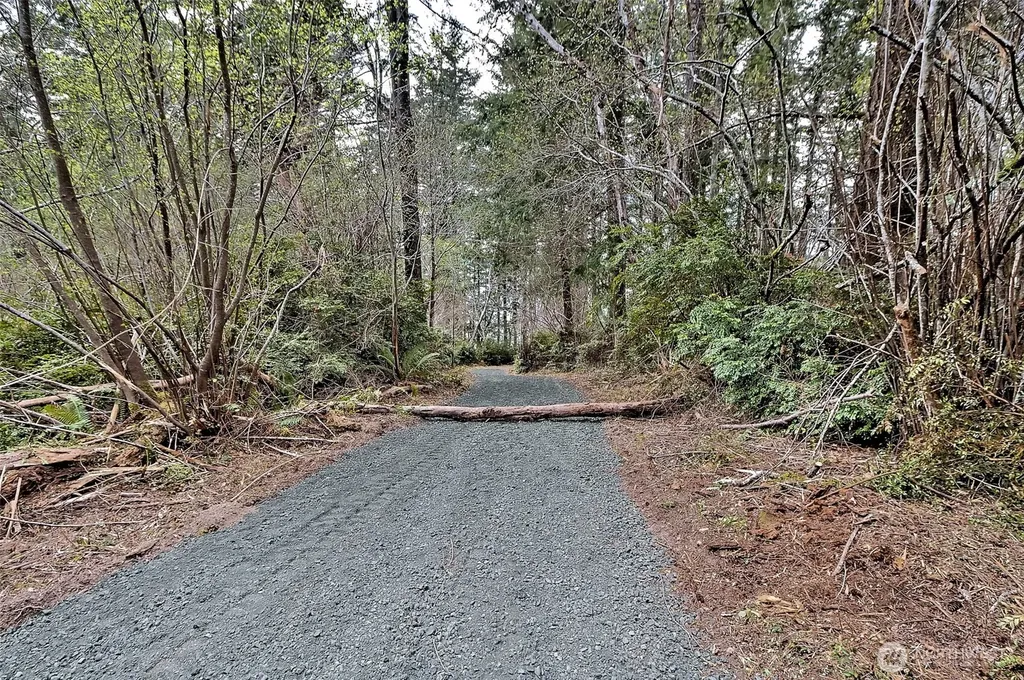 101 E Peale Drive Shelton WA 98584