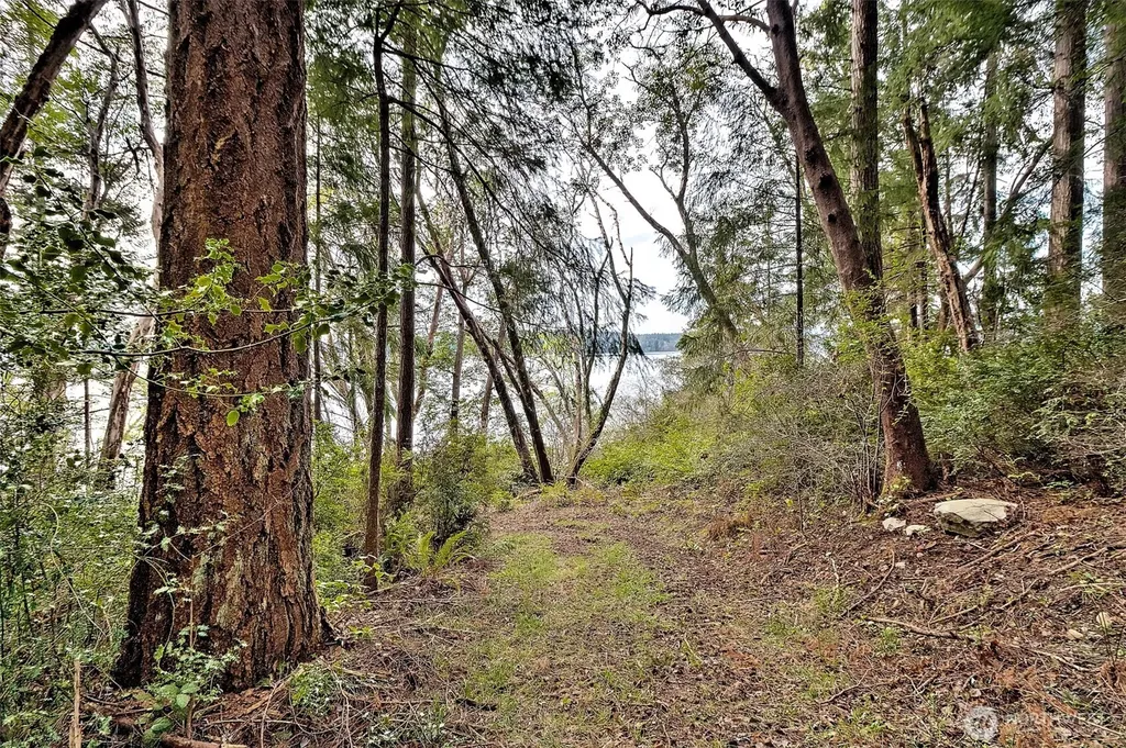 101 E Peale Drive Shelton WA 98584