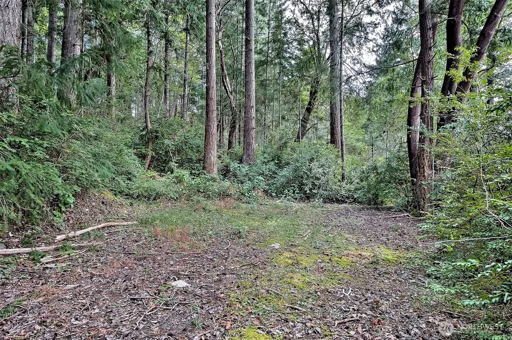 101 E Peale Drive Shelton WA 98584