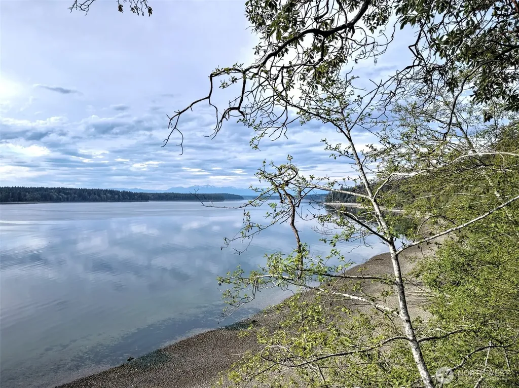 101 E Peale Drive Shelton WA 98584