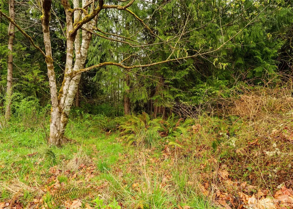 313 Weston Parkway Sequim WA 98382