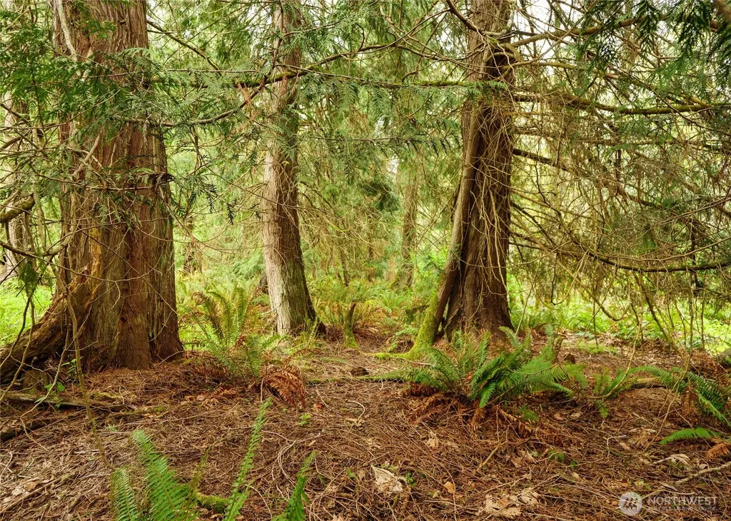 313 Weston Parkway Sequim WA 98382