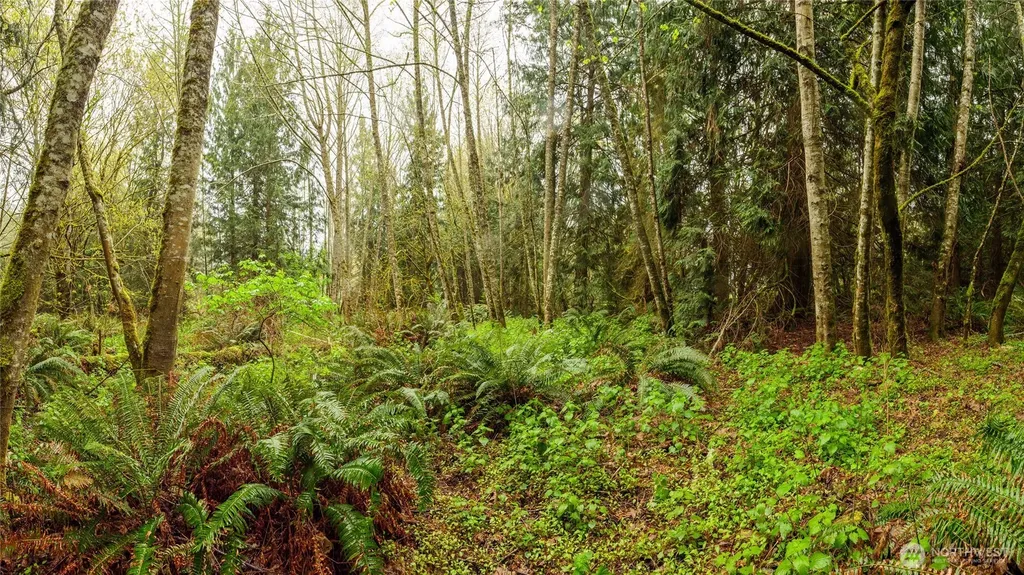 313 Weston Parkway Sequim WA 98382