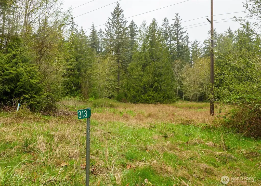 313 Weston Parkway Sequim WA 98382