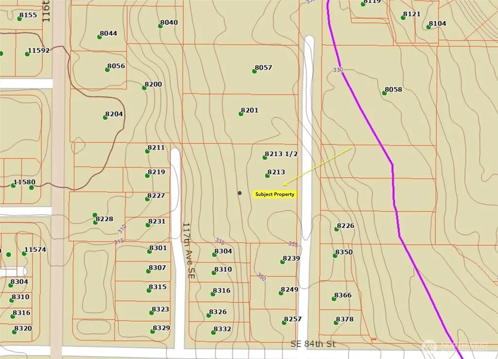 8213 118th Avenue SE Newcastle WA 98056