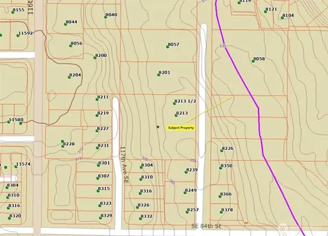 8213 118th Avenue SE Newcastle WA 98056