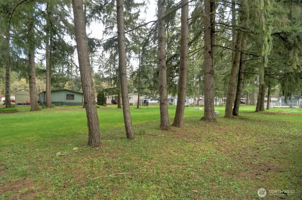 17340 Sargent Road SW Rochester WA 98579