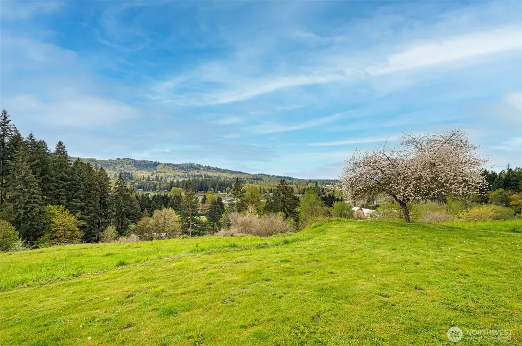 351 Butte Hill Road Woodland WA 98674