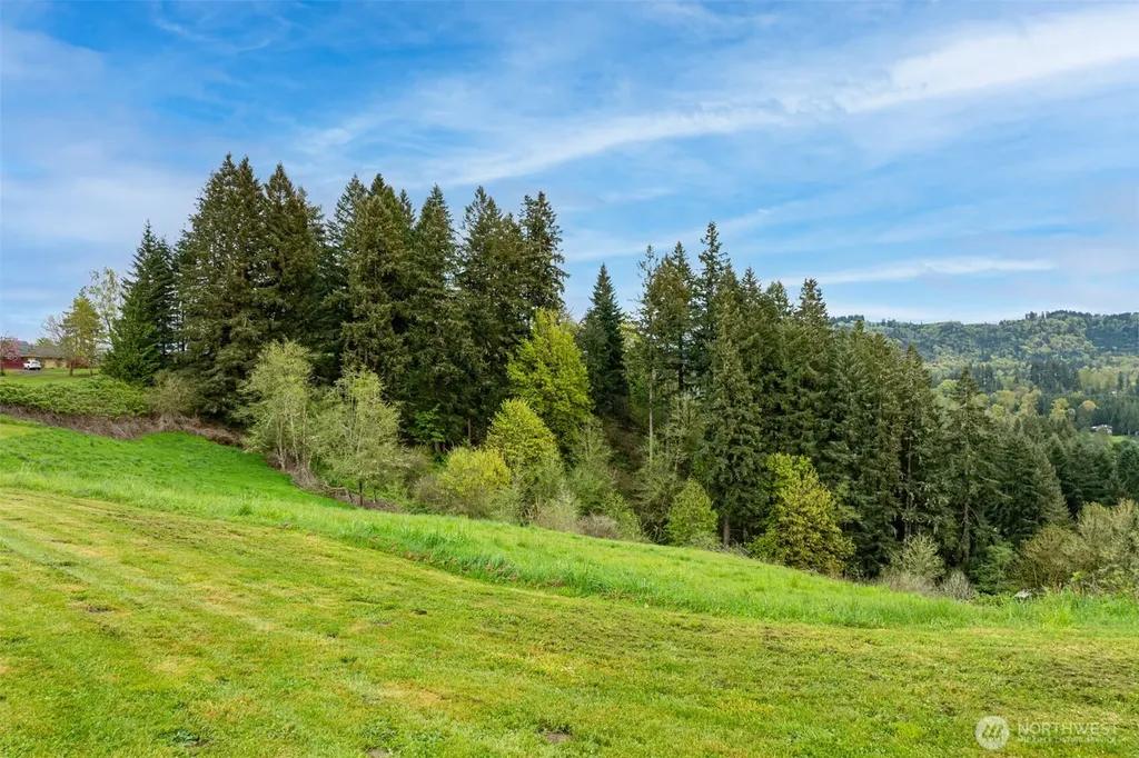 351 Butte Hill Road Woodland WA 98674