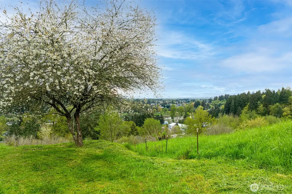 351 Butte Hill Road Woodland WA 98674