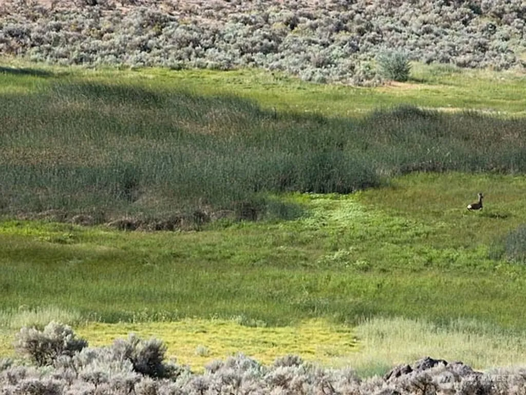 0 Silica Road Quincy WA 98848