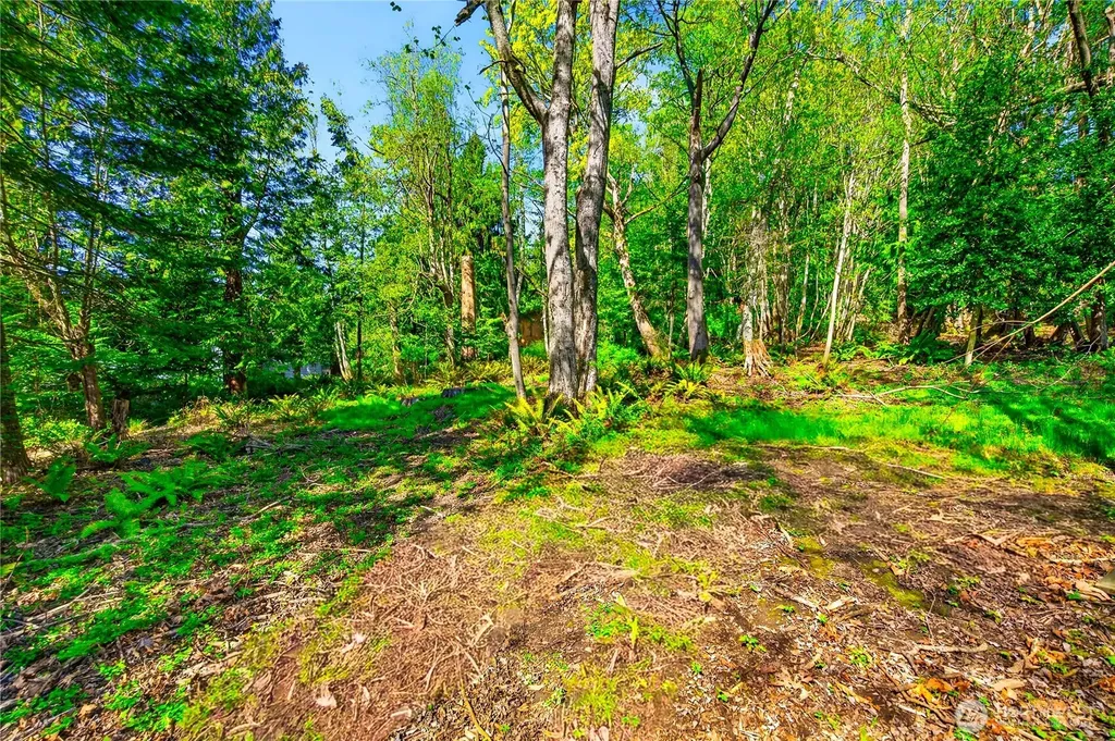 784 Lillooet La Conner WA 98257