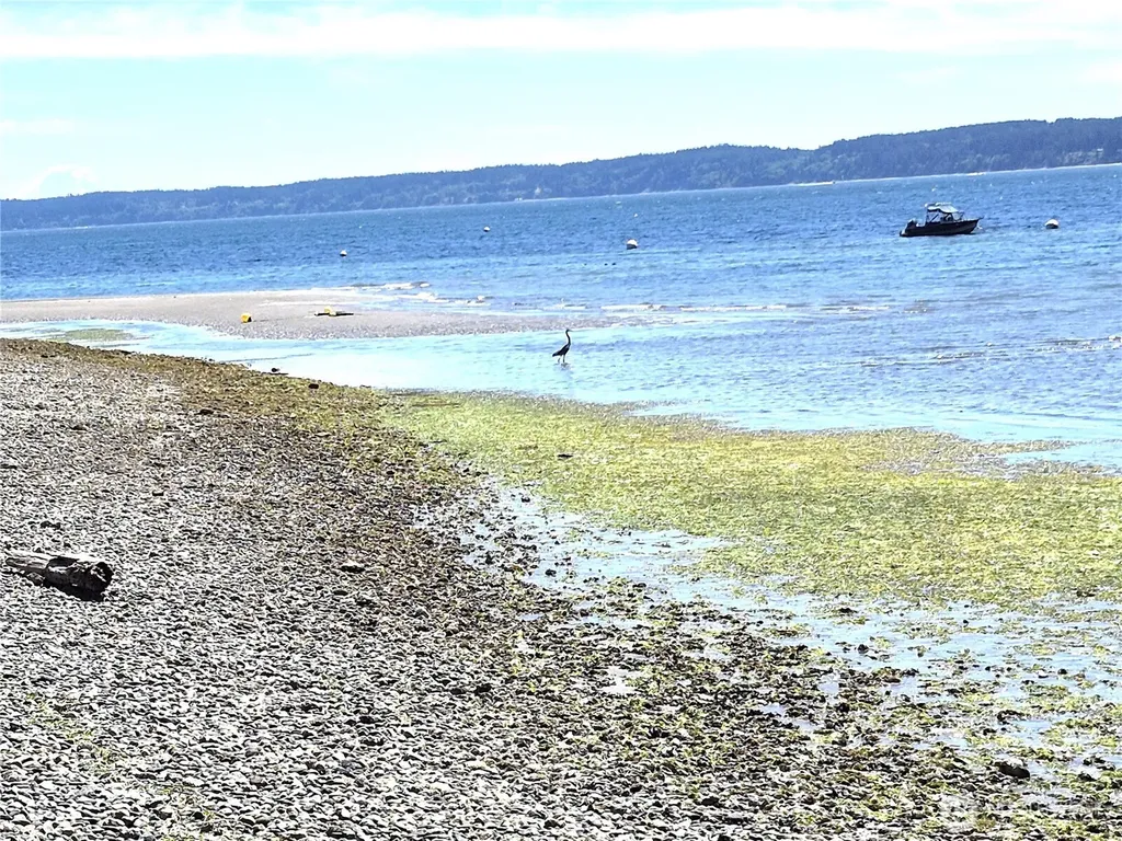 0 Wagner Road Camano Island WA 98282