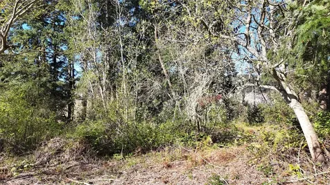0 Wagner Road Camano Island WA 98282