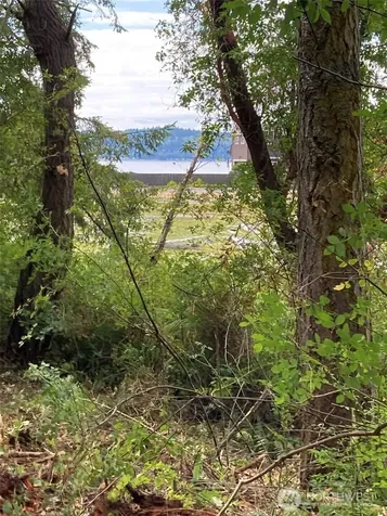 0 Wagner Road Camano Island WA 98282