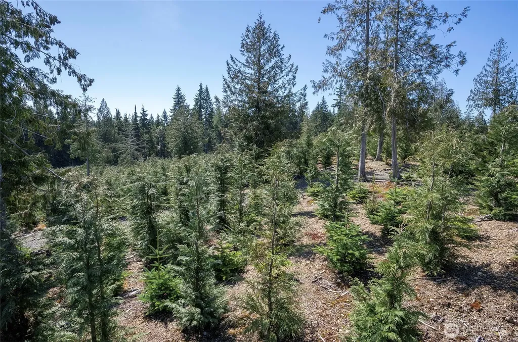 1800 E Harstine Island Road N Shelton WA 98584