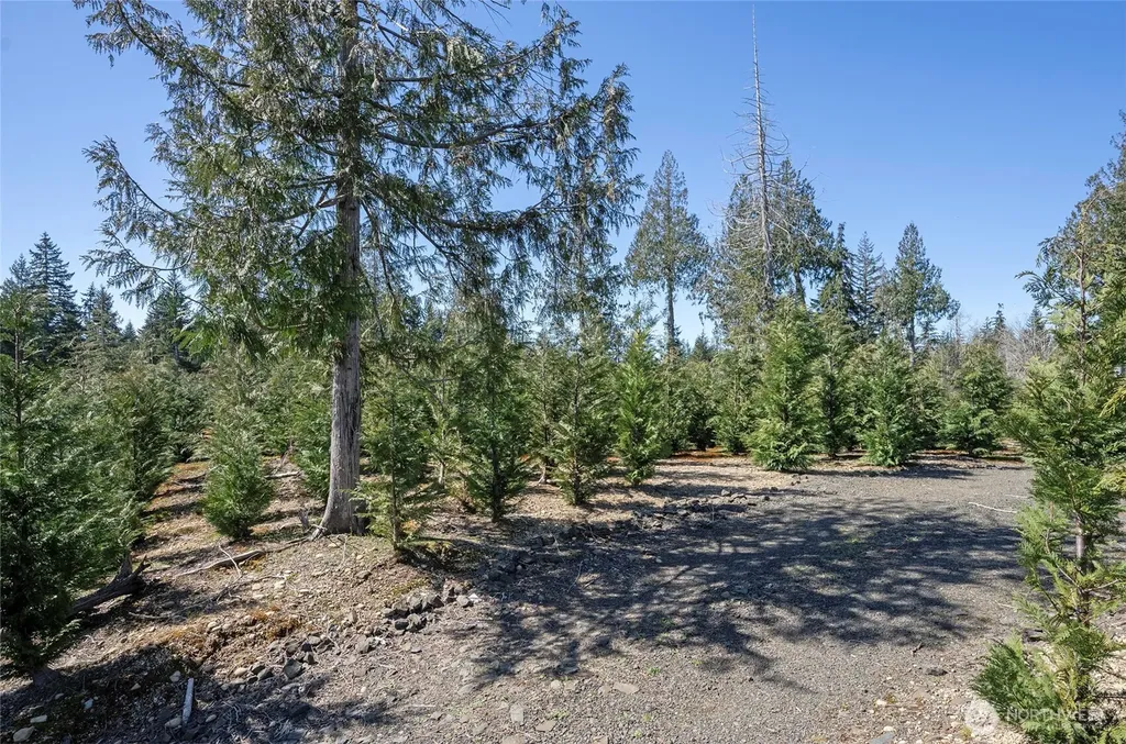 1800 E Harstine Island Road N Shelton WA 98584