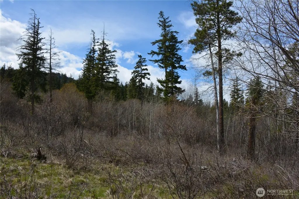 0 Sturgis Road Cle Elum WA 98922