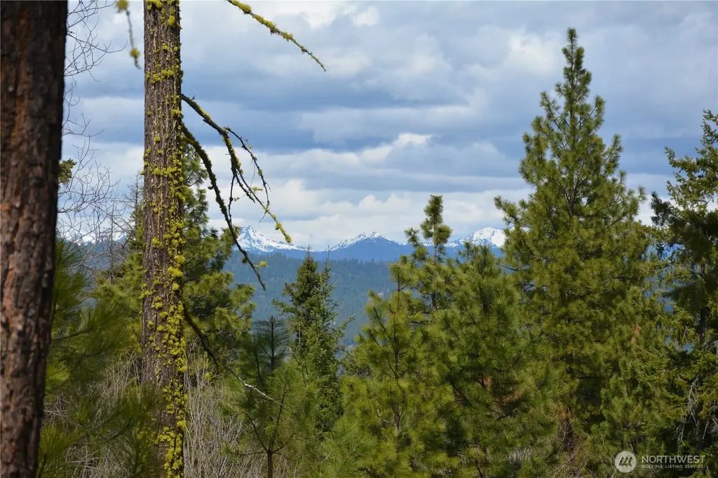 0 Sturgis Road Cle Elum WA 98922