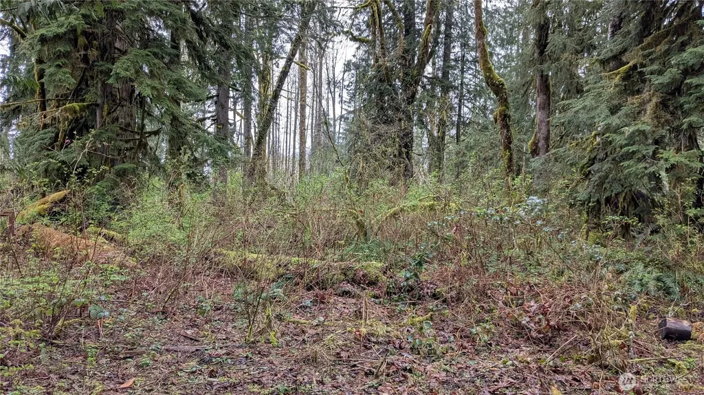 63602 190th Street NE Baring WA 98224