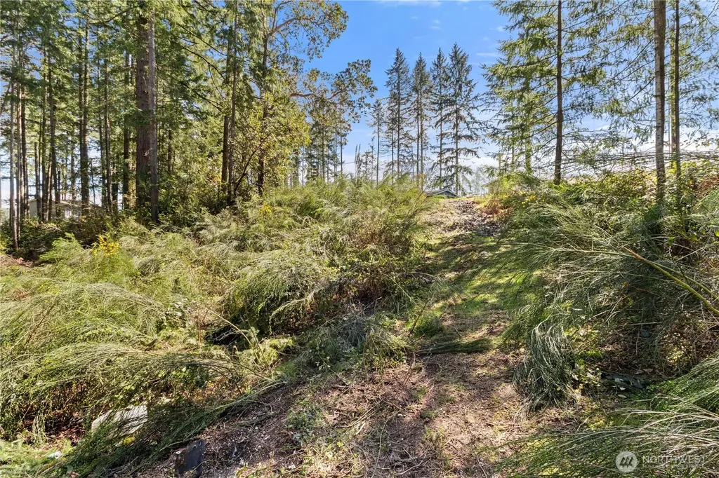 19025 SW 23rd Street Lakebay WA 98349