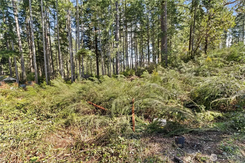 19025 SW 23rd Street Lakebay WA 98349