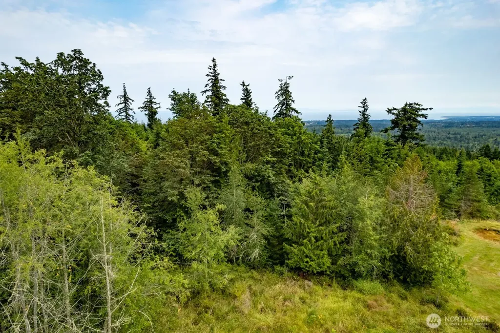 99999 Mt Pleasant Road Port Angeles WA 98362