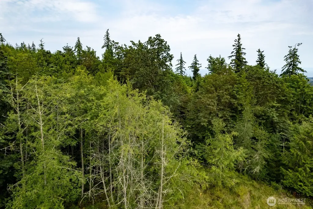 99999 Mt Pleasant Road Port Angeles WA 98362