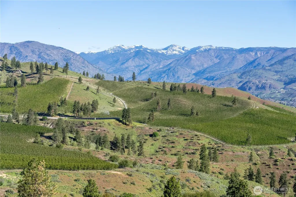 322 Paintbrush Road Chelan WA 98816
