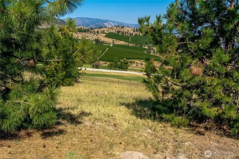 322 Paintbrush Road Chelan WA 98816
