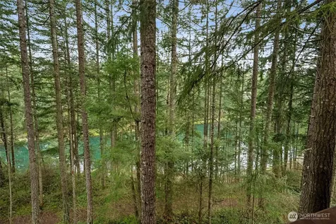 17631 Clear Lake Boulevard SE Yelm WA 98597
