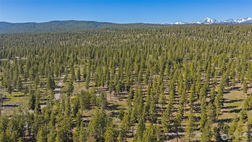 0 Flying M Cle Elum WA 98922