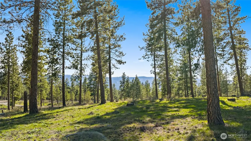 0 Flying M Cle Elum WA 98922