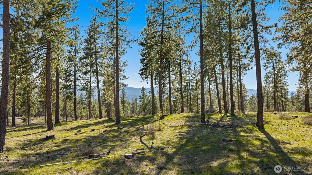 0 Flying M Cle Elum WA 98922