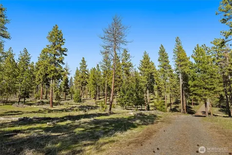 0 Flying M Cle Elum WA 98922