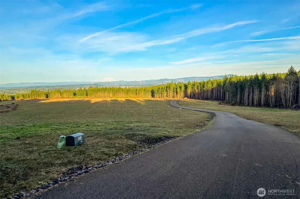 272 Silverwood Drive Castle Rock WA 98611