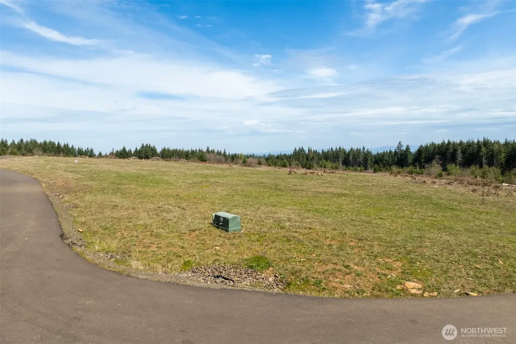 272 Silverwood Drive Castle Rock WA 98611