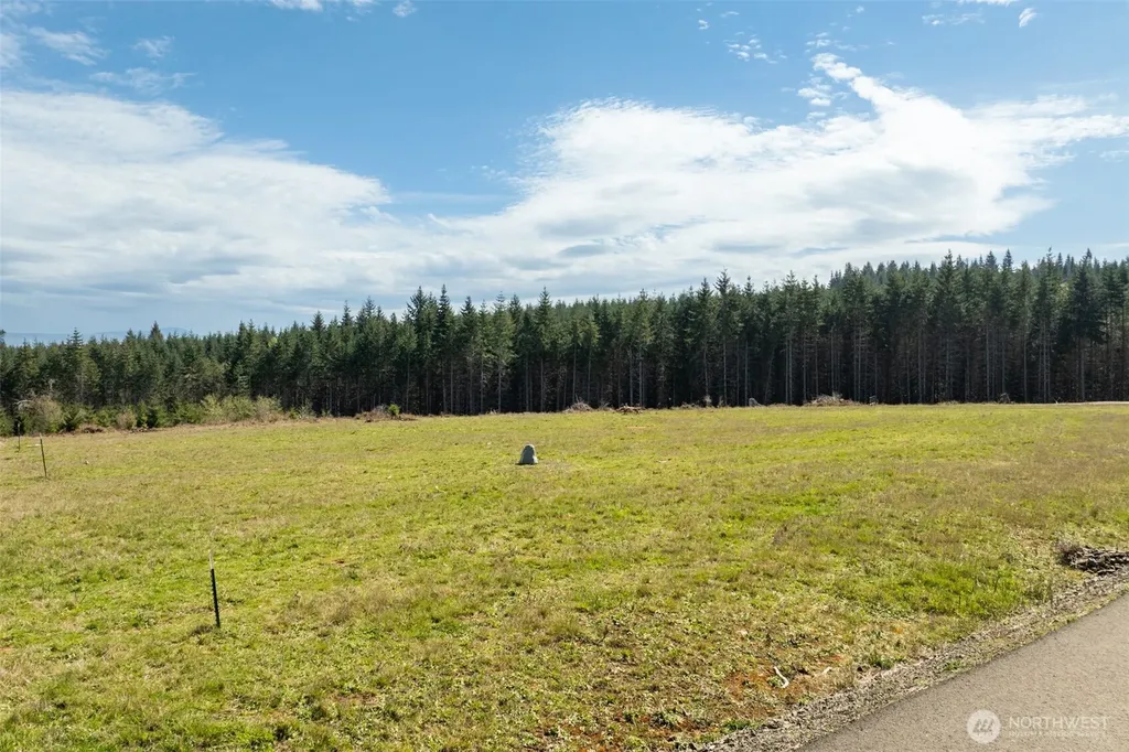 272 Silverwood Drive Castle Rock WA 98611