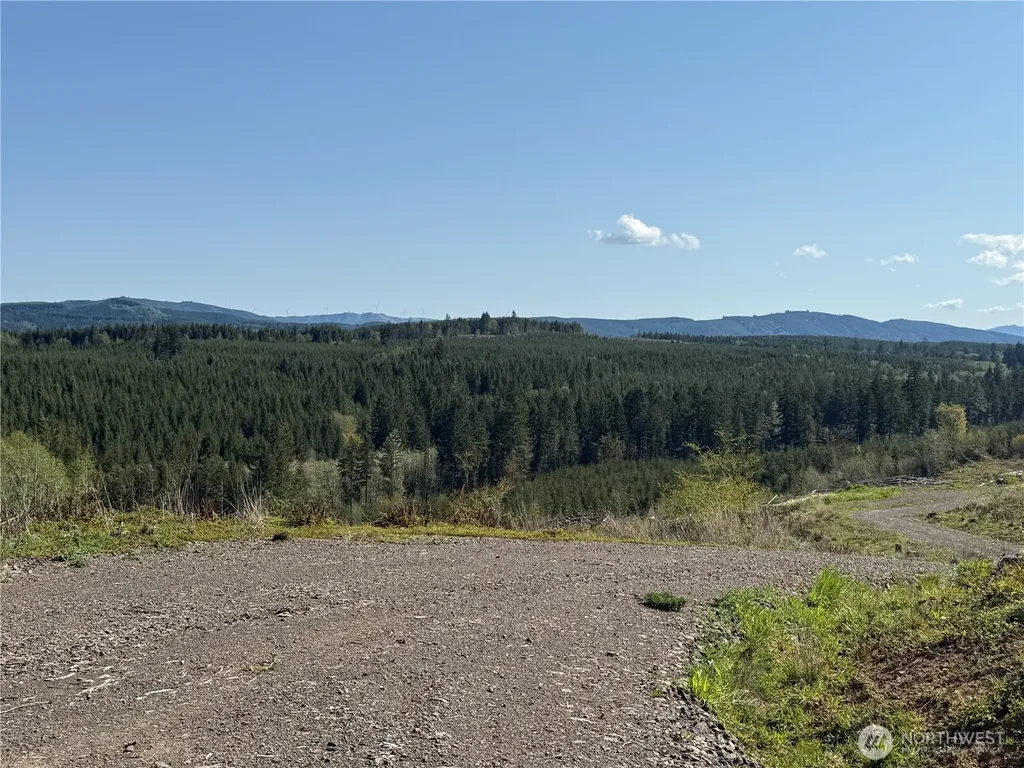 6 Oppelt Road Chehalis WA 98532