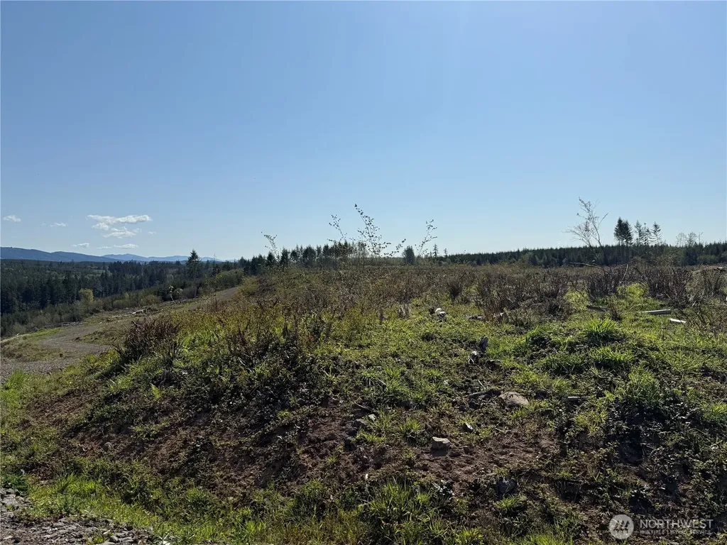 6 Oppelt Road Chehalis WA 98532
