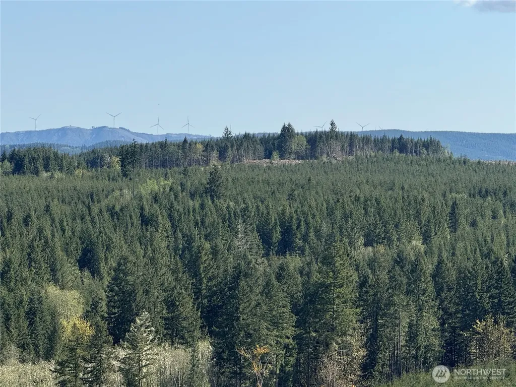 6 Oppelt Road Chehalis WA 98532