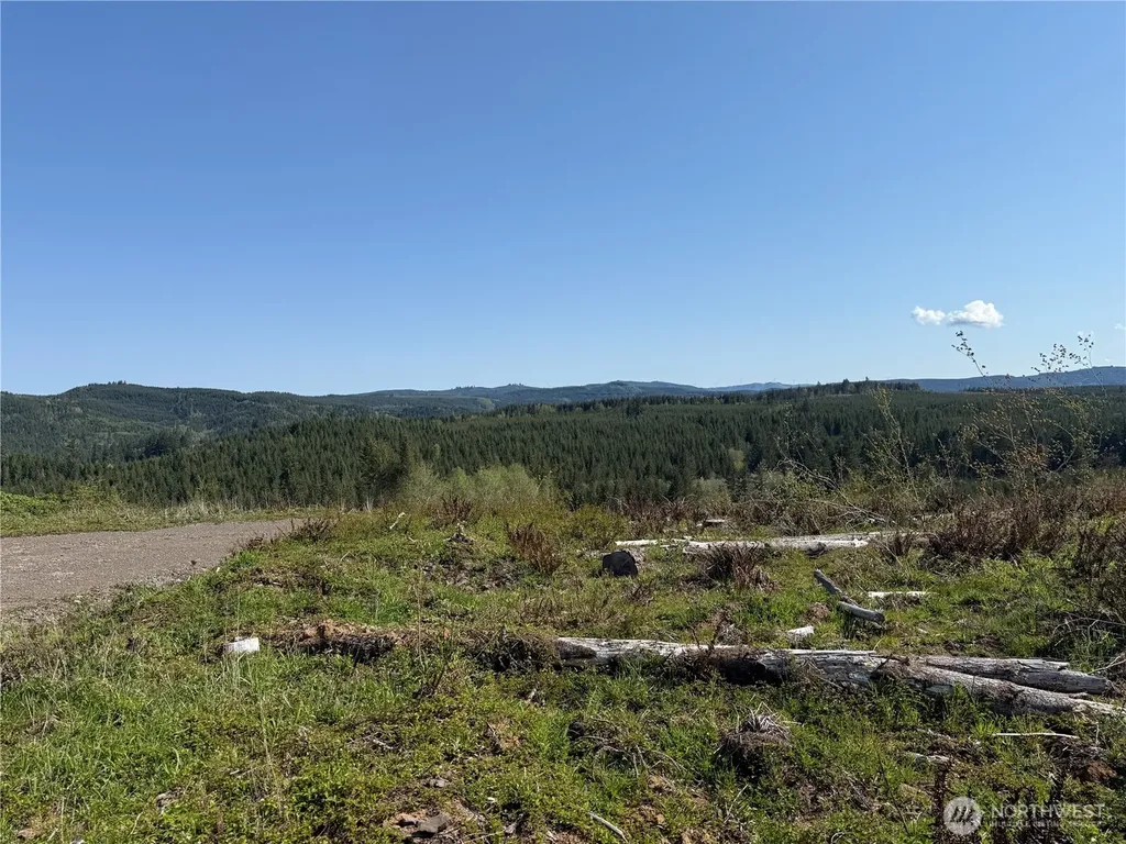 6 Oppelt Road Chehalis WA 98532