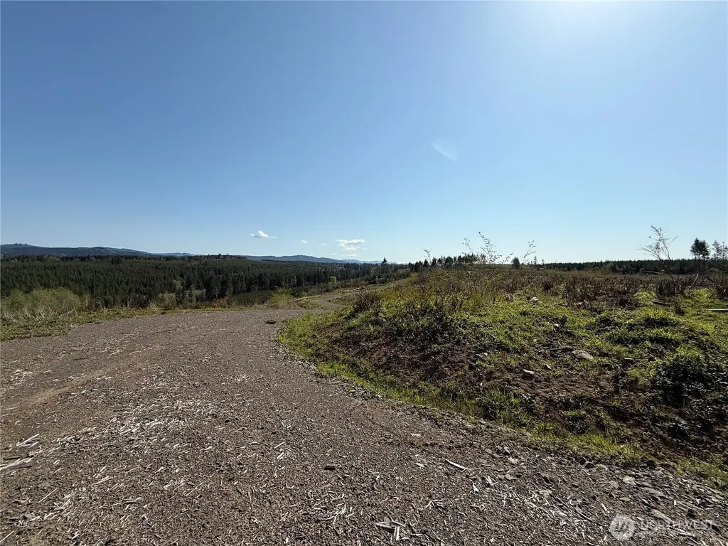 6 Oppelt Road Chehalis WA 98532